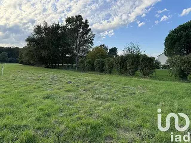 Langeais 37130 Achat / Vente terrain