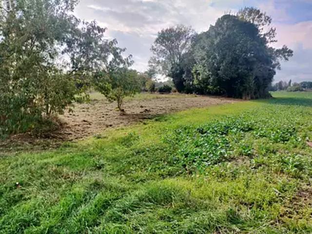 Langeais 37130 Programme neuf terrain neuf à vendre