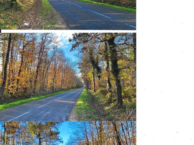 Langeais Vente Terrain 37