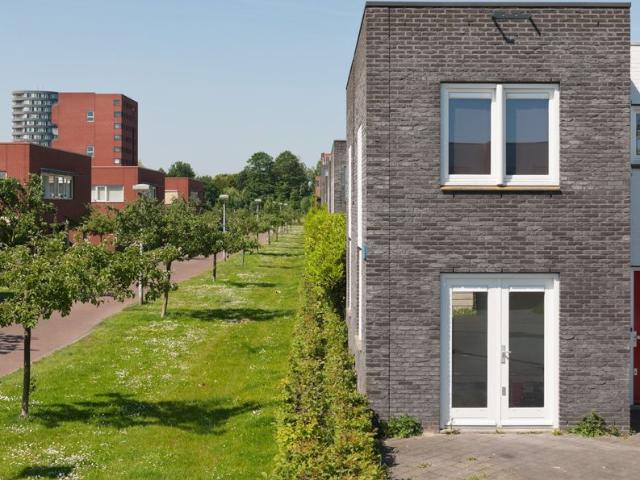 Langerak, Leidsche Rijn: wonen in een gevarieerde wijk