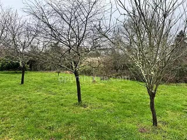 Langon sur Cher 41320 Achat / Vente terrain