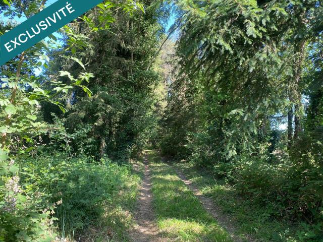 Langon Vente Terrain 35