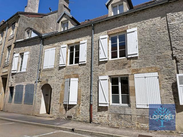 Langres Vente Immeuble 52