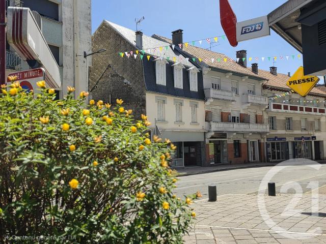 Lannemezan Vente Immeuble 65