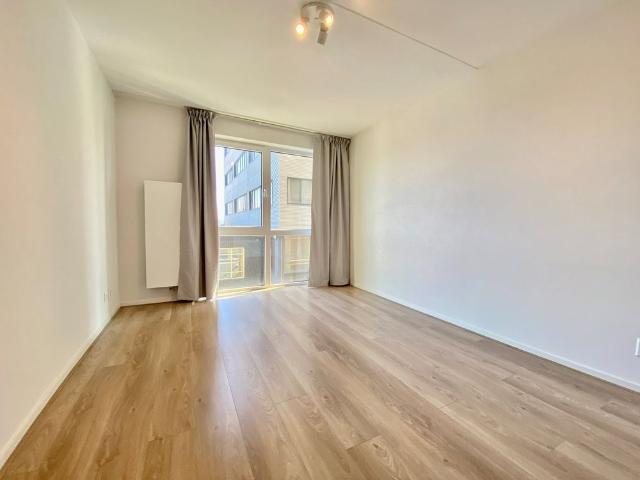 Laakweg, 2521 SC, Den Haag