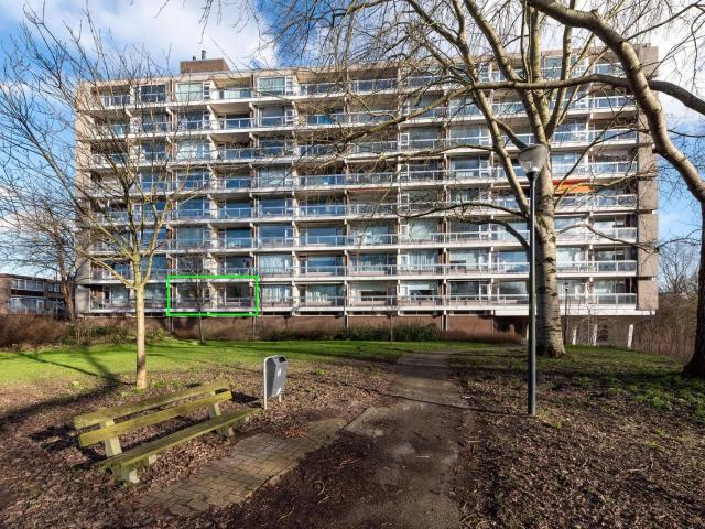 Laan van Parijs 6, 2034EG, Haarlem, Noord Holland 2034EG