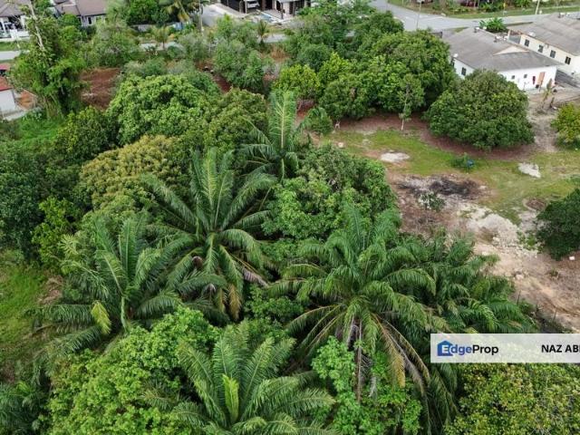 Labu Lanjut, Sepang, Agricultural Land [DUAL LOT OPPORTUNITY] For Sale