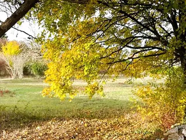Laburgade 46230 Achat / Vente terrain