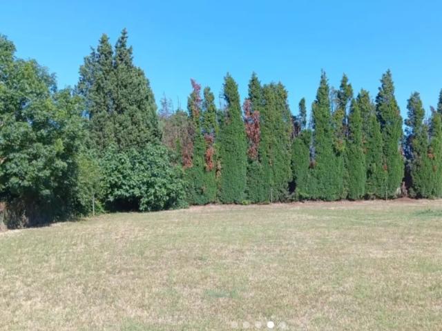 Labastide d'Anjou Vente Terrain 11