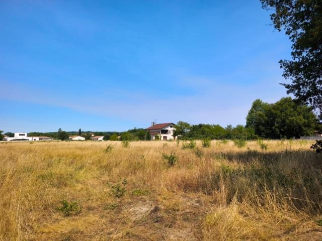 Labastide Saint Georges Vente Terrain 81