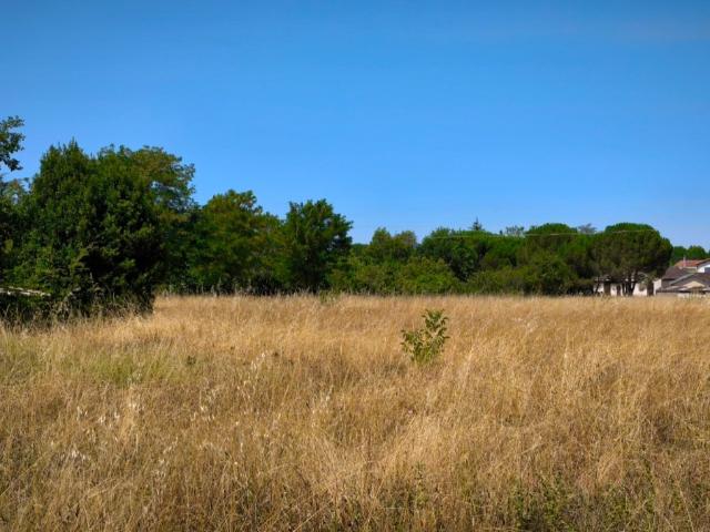 Labastide Saint Georges Vente Terrain 81