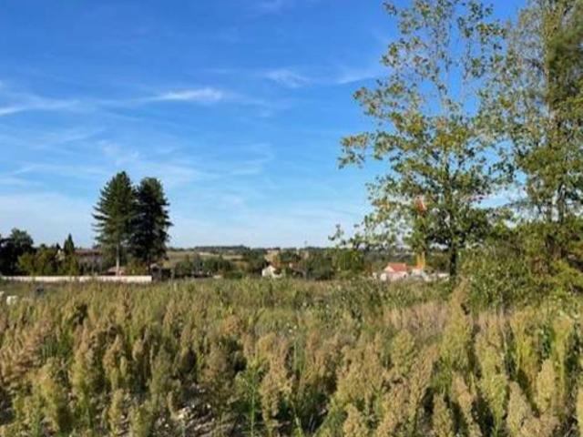 Labastide Saint Sernin Vente Terrain 31