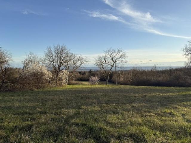 Labécède Lauragais Vente Terrain 11