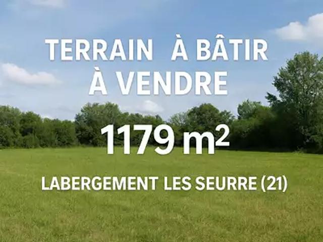 Labergement lès Seurre 21820 Achat / Vente terrain