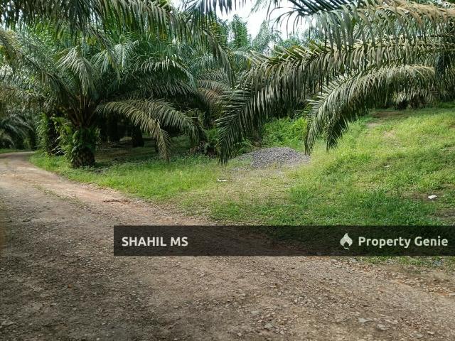 0129 || LABIS JOHOR || TANAH PERTANIAN || 5 EKAR || FREEHOLD || REZAB MELAYU || rm475,000