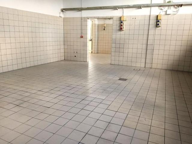 Laboratorio in affitto a Colignola San Giuliano Terme 200 mq Rif: 1400322