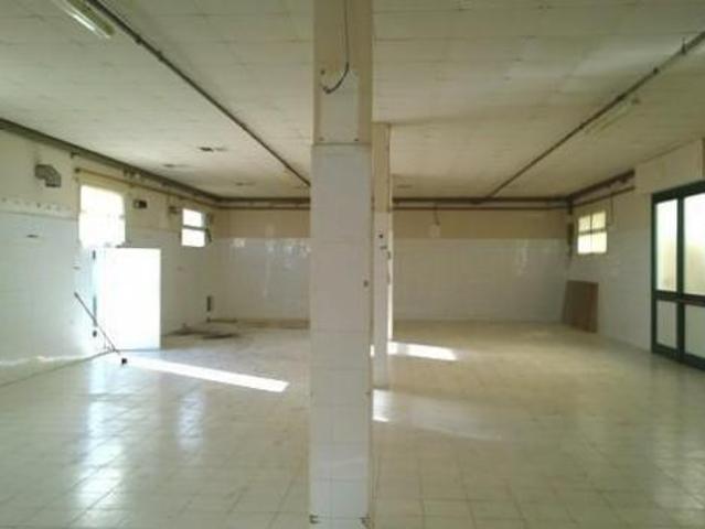 Laboratorio in affitto a Ponsacco 254 mq Rif: 1382366