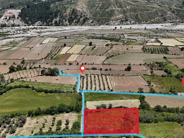 LABRİS'TEN MUĞLA ESENÇAY'DA MUHTEŞEM TARLA