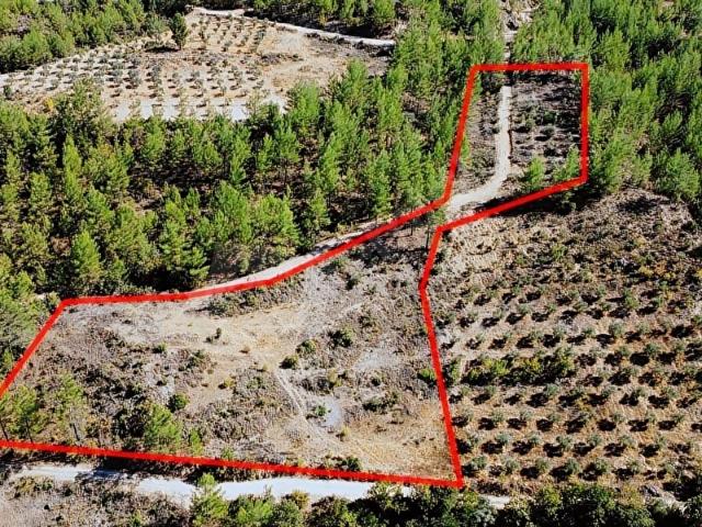 LABRİS'TEN GÖKTEPE'DE RESMİ YOLU OLAN 6800 m TARLA