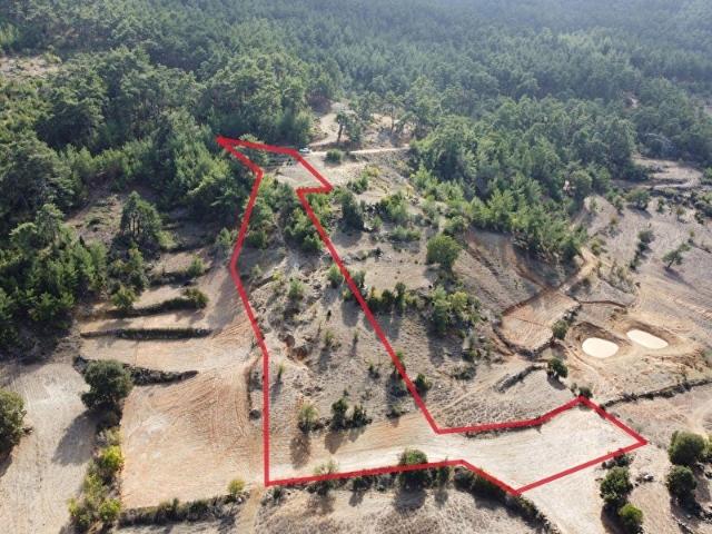 LABRİS'TEN KIRAN'DA YOLU OLAN 7,5 DÖNÜM TARLA