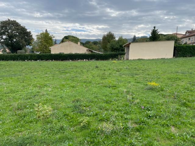 Labruguière Vente Terrain 81