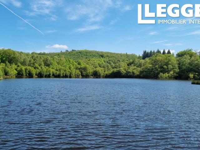 Lac de pêche privé avec cabine et bois environnant