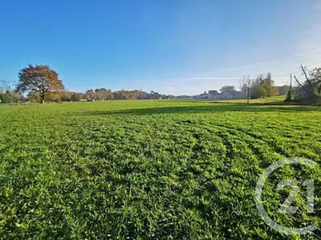 Lacadée 64300 Achat / Vente terrain