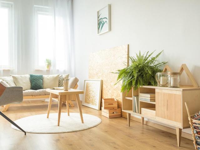 Lacanau Vente Appartement 33