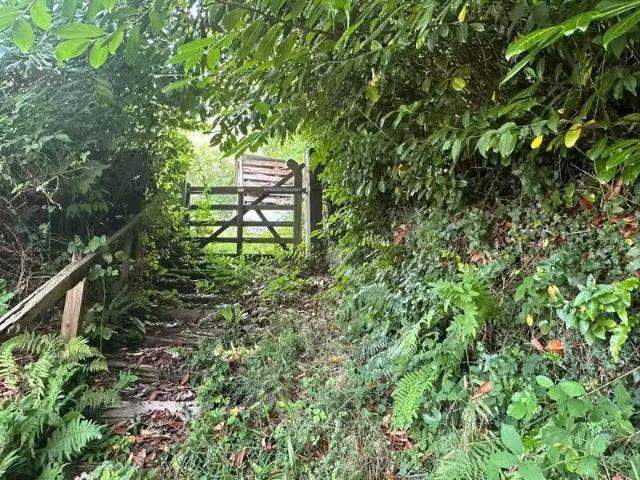 Lackabane, Millstreet, Millstreet, Co. Cork, P51RY28 is for sale