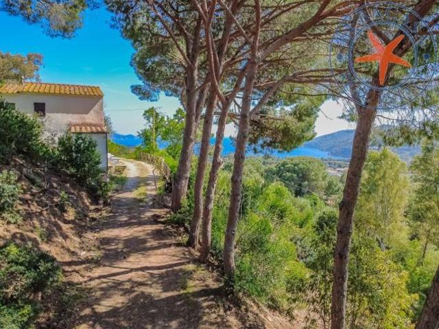 LACONA ELBA APPARTAMENTO AL PRIMO PIANO
