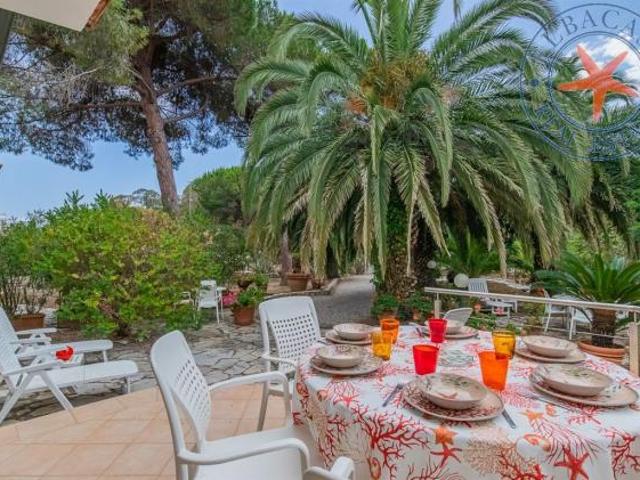 LACONA ELBA VILLA E DEPENDANCE, CON TERRAZZA E GIARDINO A DUE PASSI DAL MARE