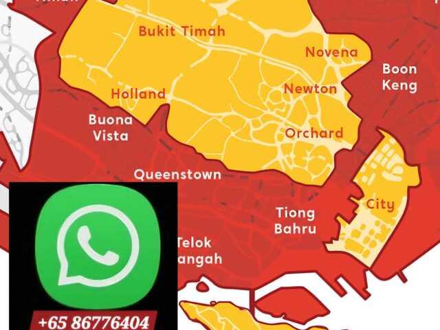 ●LADY BEDSPACES●@BUONA VISTA MRT near A*STAR, NUS, SIM, NUH, SP, ESSEC, MDIS, BIOPOLIS@1North