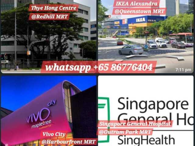 ●LADY BEDSPACES● @ BUONA VISTA MRT near A*STAR, NUS, SIM, NUH, SP, ESSEC, MDIS, BIOPOLIS@1North
