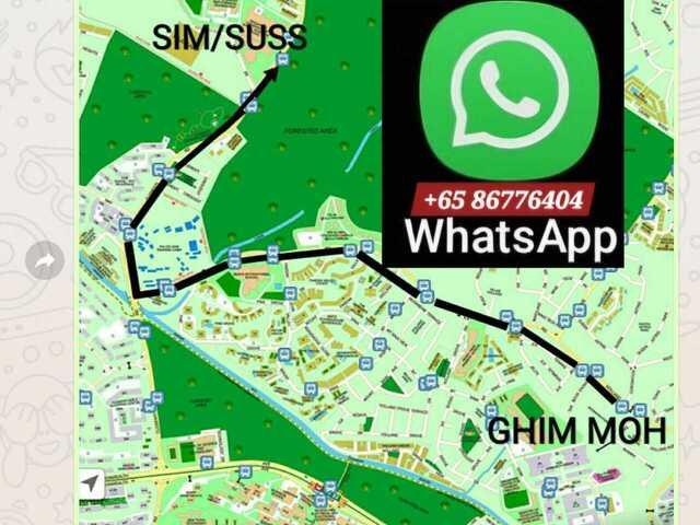 ●LADY BEDSPACES●@BUONA VISTA MRT near A*STAR, NUS, SIM, NUH, SP, ESSEC, MDIS, BIOPOLIS@1North