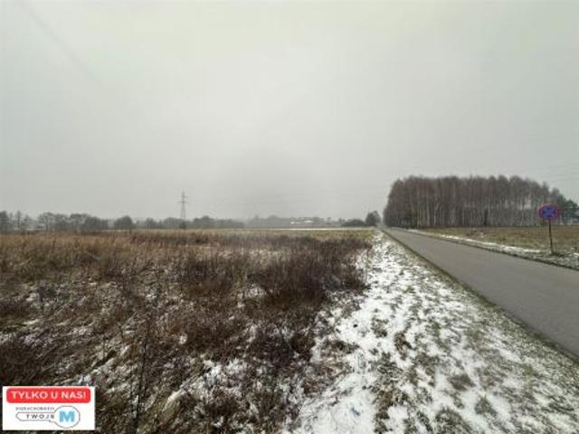 Śladków Duży, 43100 m² Działka
