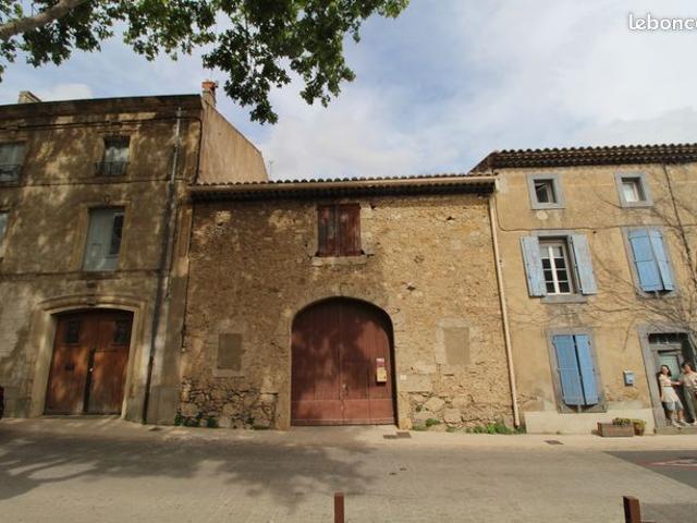 Laemise vigeronne