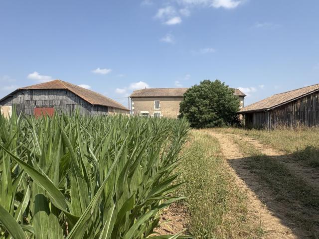 Lafitte sur Lot Vente Maison 47