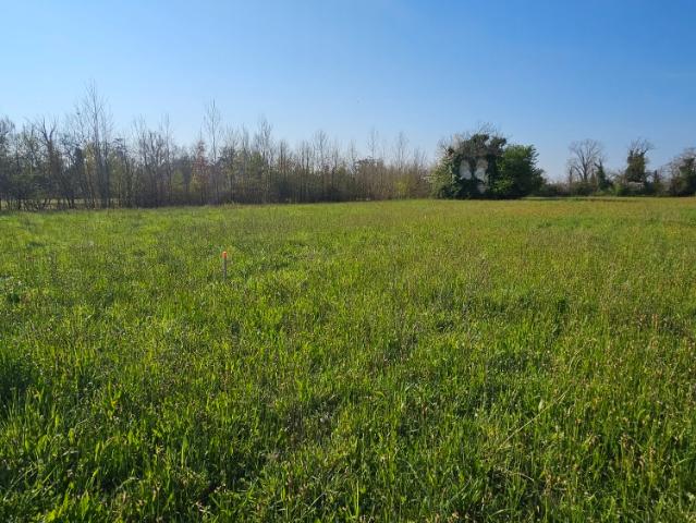Lafox Vente Terrain 47