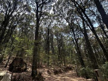 LAGUNA DE SERVIN $ 2 500 000