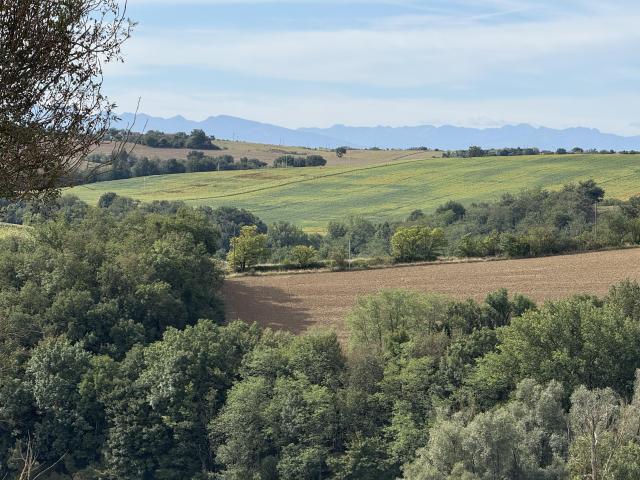 Lagarde Vente Maison 31