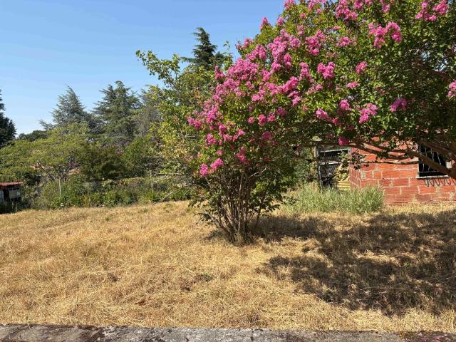 Lagarrigue Vente Terrain 81