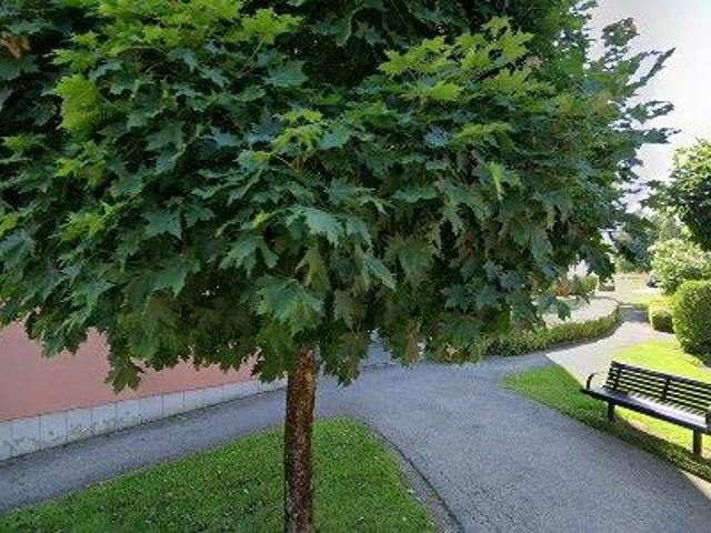 Lägenhet att hyra i Borås