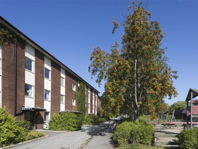Lägenhet för 2 984 kr, Umeå, Västerbotten