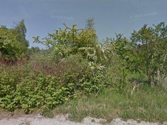 Lager til leje i 4600 Køge
