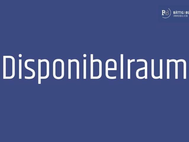 Lager /Disporaum