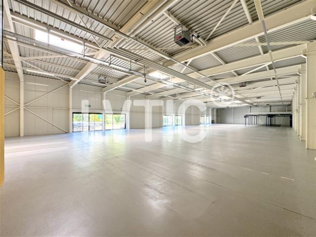 Lagerhallen, Showrooms, Lagerflächen von 1000 m2 zu vermieten in Yverdon