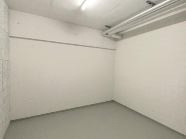 Lagerraum zu vermieten, 1. UG in Zürich Albisrieden, Kreis 9