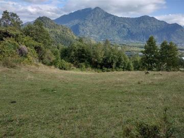 Lago Ranco, Parcela en venta en lago ranco calidad indigena