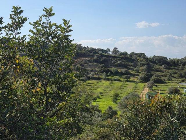 Lagoa Algarve 100752548