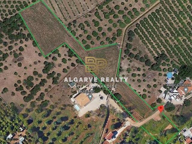 Lagoa Algarve 60677344